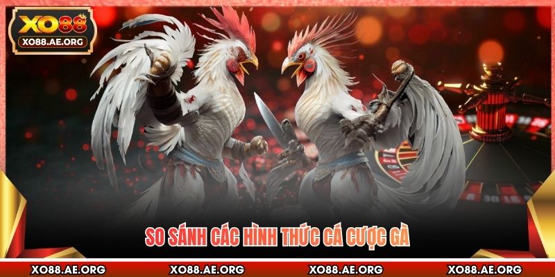 So sánh các hình thức cá cược gà